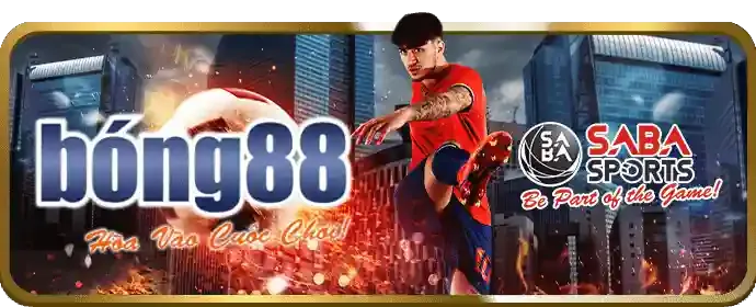 Tùy chọn quản lý cookie của người dùng